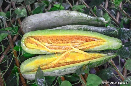 网红刘二萌吃瓜图片,趣味瞬间引网友热议  第1张